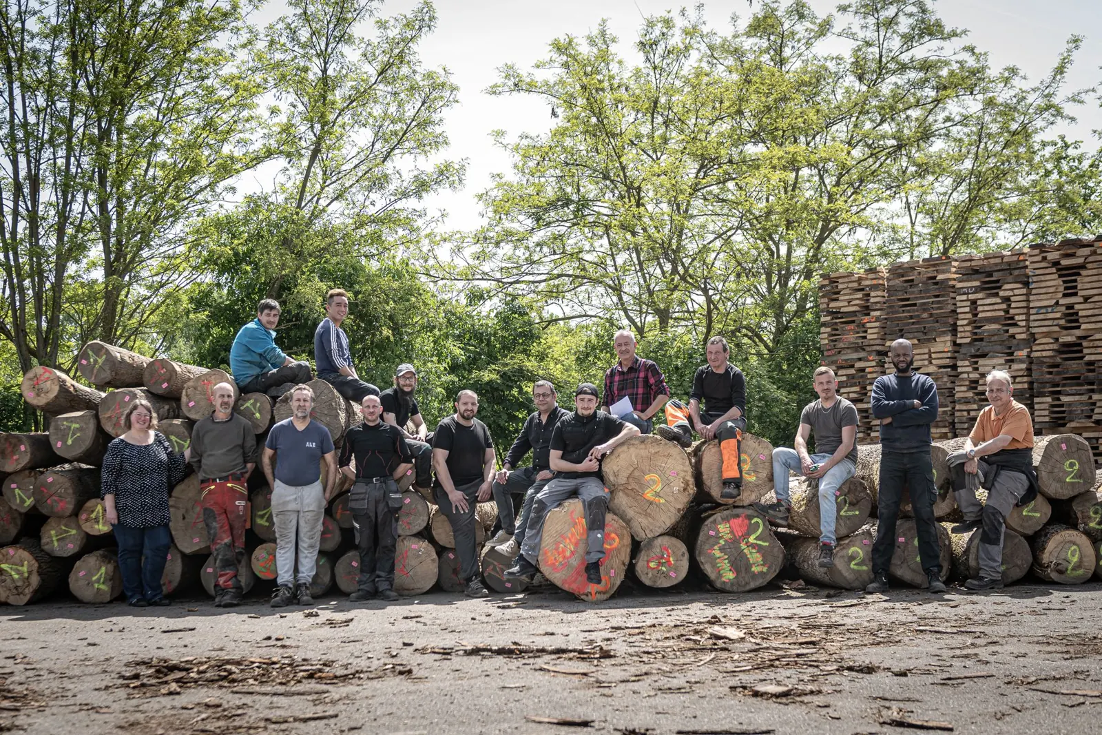 L'équipe de Mallo Bois réunie devant une pile de grumes